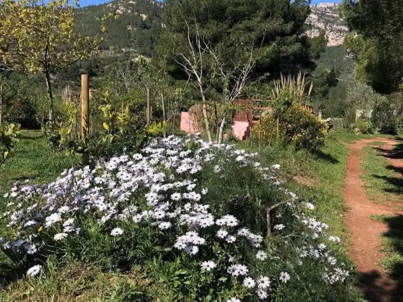 Garden of Houses for sale in Pratdip, Tarragona