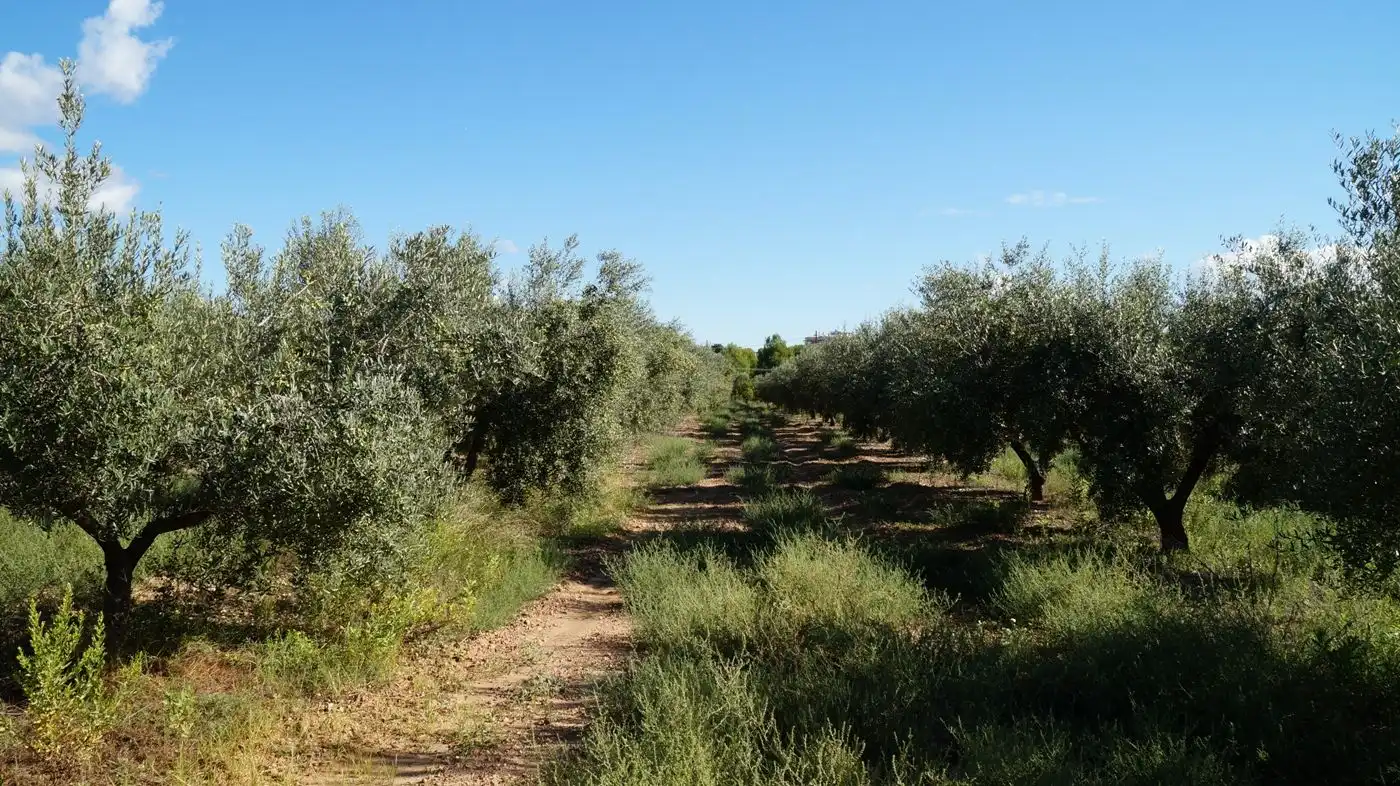 Finca rústica en venda en Constantí amb Jardí privat, Terrassa i Moblat