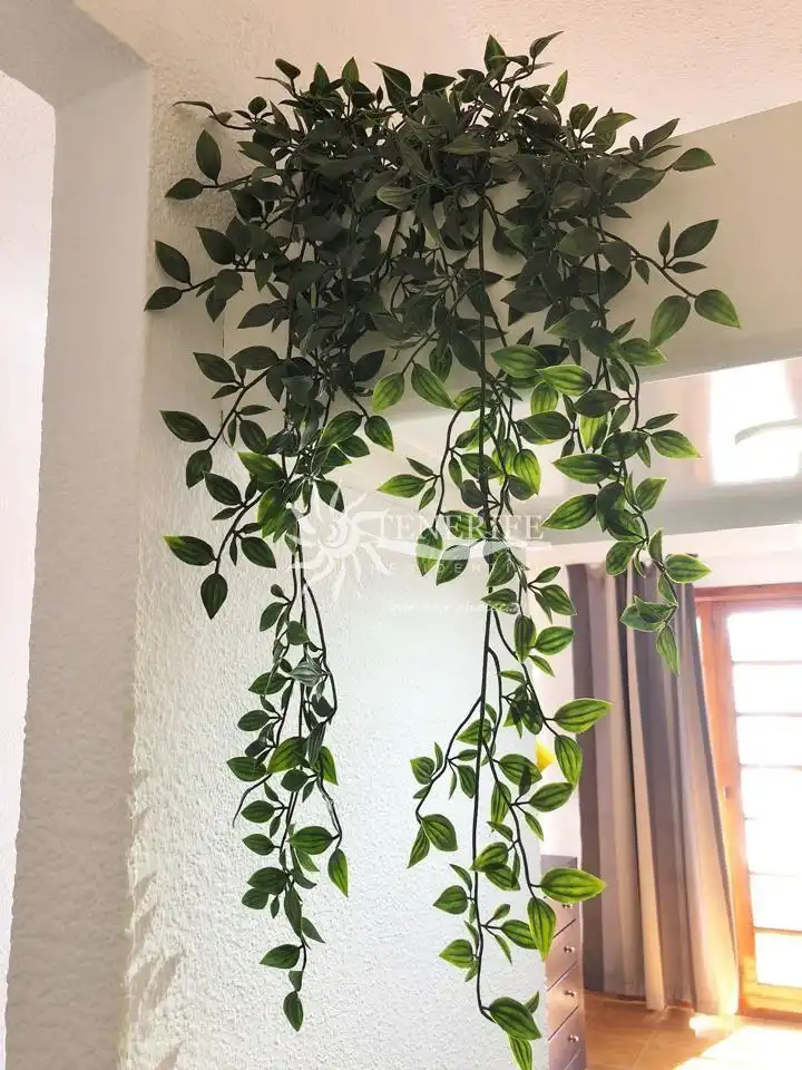 Garten von Wohnung zum Verkauf in Adeje mit Terrasse und Möbliert