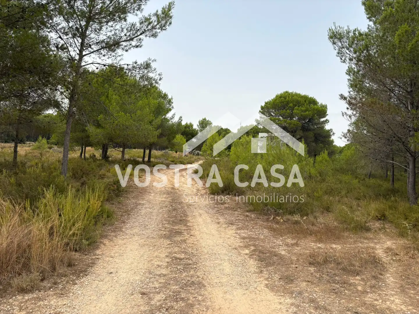 Terreno rustico in vendita a CL BADAJOZ, imagen 3