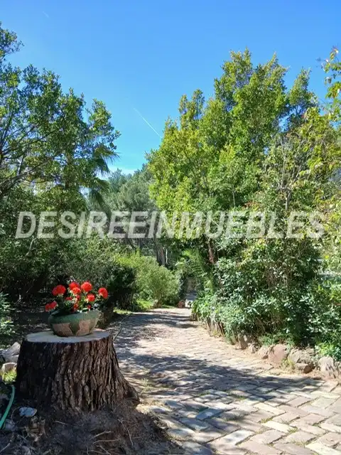 Chalet con piscina en venta en Calle Carrasca, imagen 21