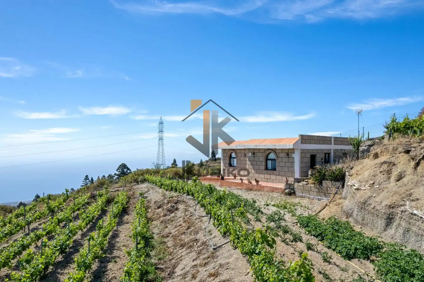 Vista exterior de Casa o chalet en venta en Fasnia con Jardín privado