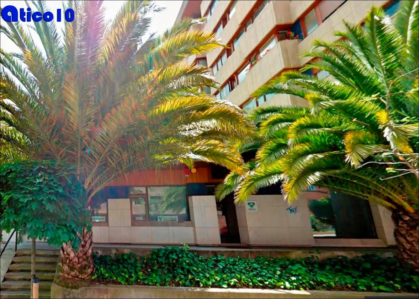 Büro zum Verkauf in Centro - Casco Histórico, imagen 11