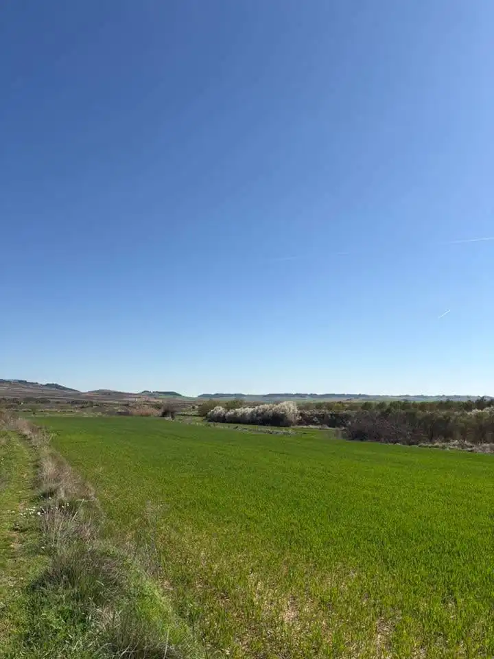 Rustikales Grundstück zum Verkauf in Villamediana de Iregua, imagen 2