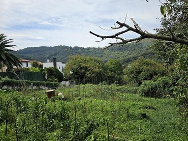 Terreni e lotti in vendita a Otañes - Talledo