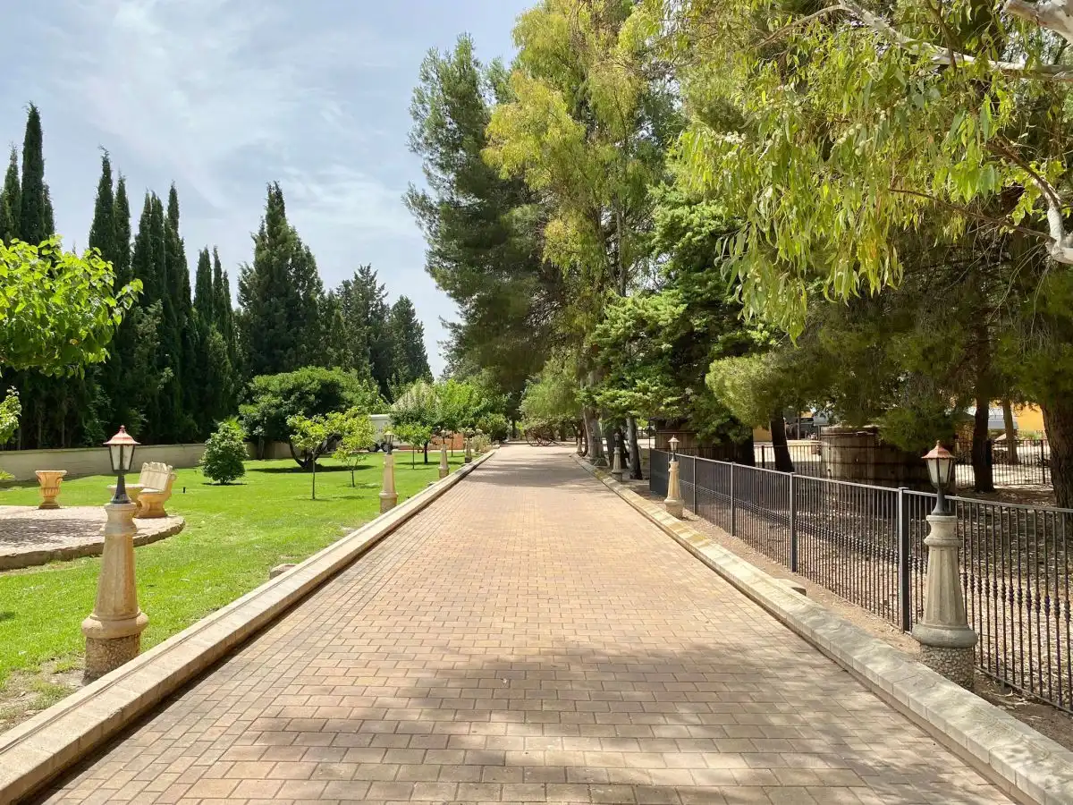 Chalet en venta en Salinas, imagen 2