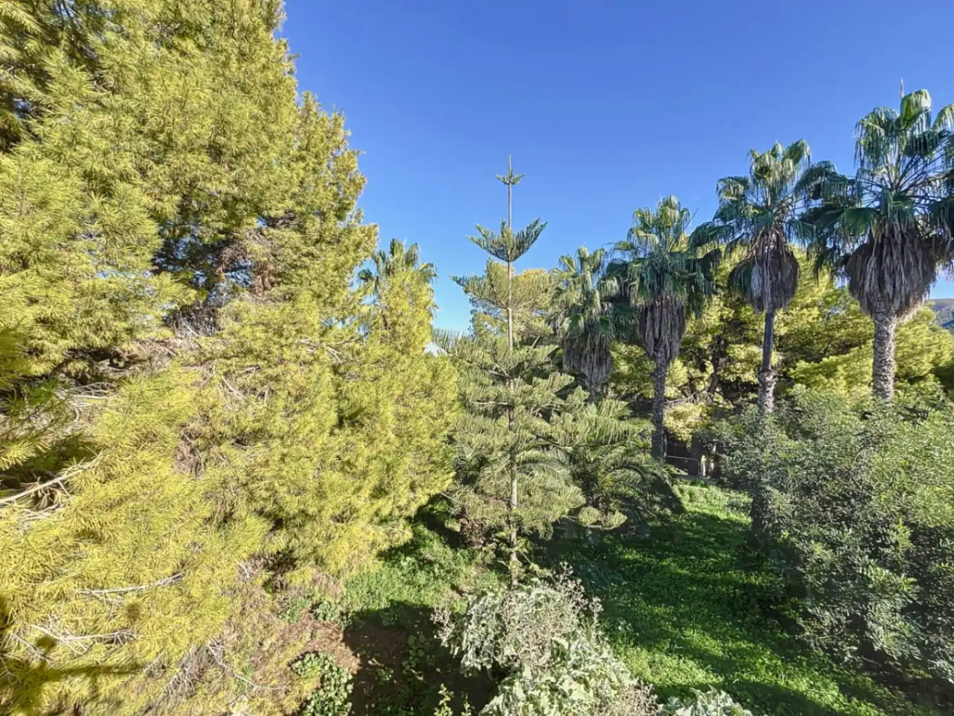 Chalet con terraza en venta en Levante Alto, imagen 34