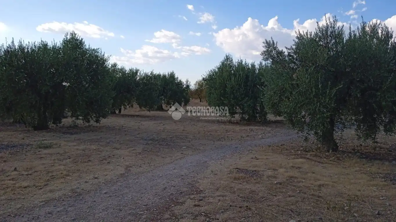 Rustikales Grundstück zum Verkauf in Gójar, imagen 7