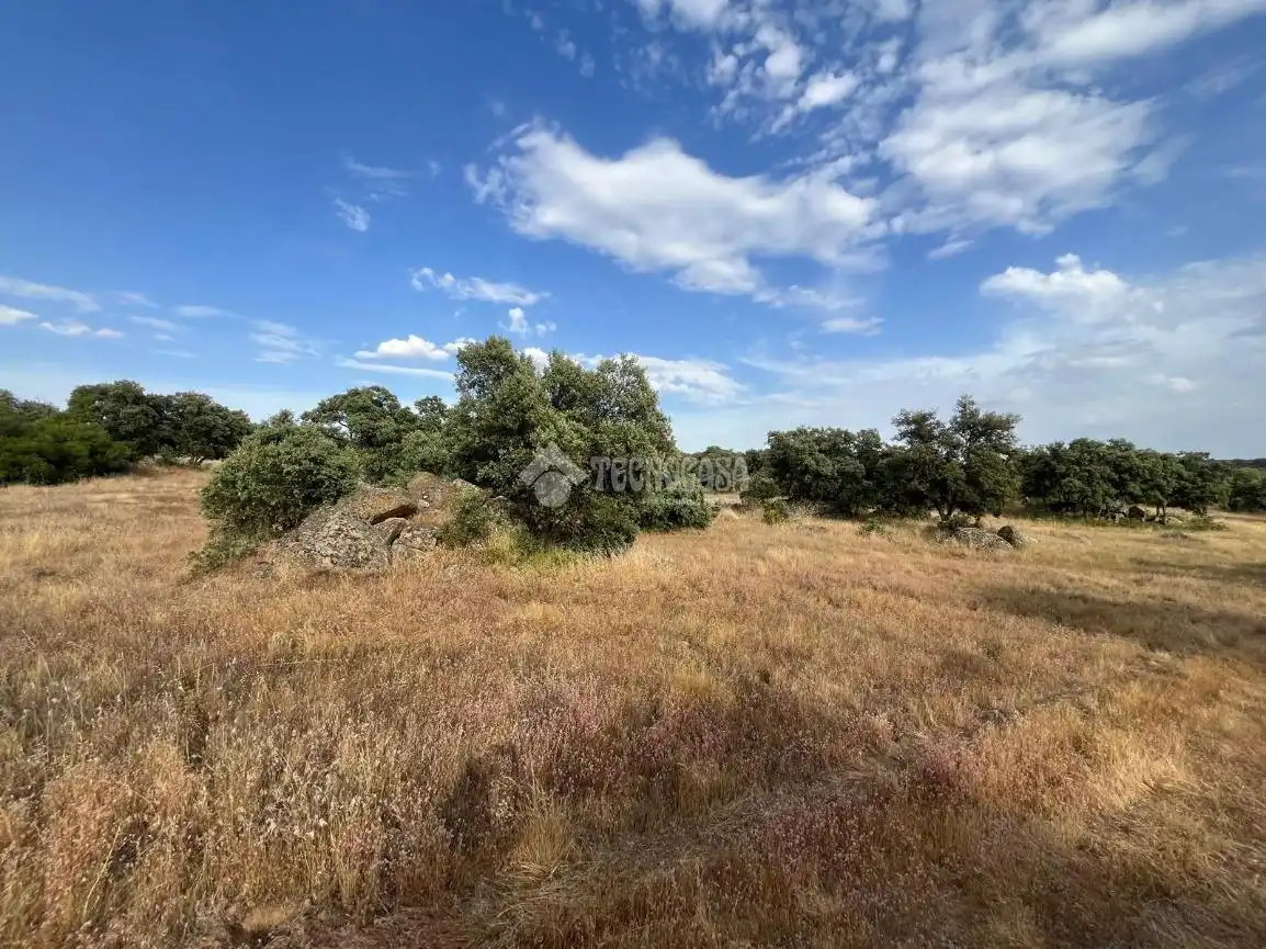 Terreno en venta en Santa Ana de Pusa