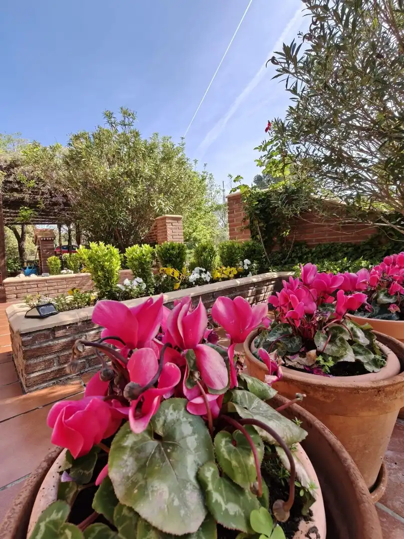Chalet en venta en CERRO PALOS poligono 45 parcela 63, imagen 27