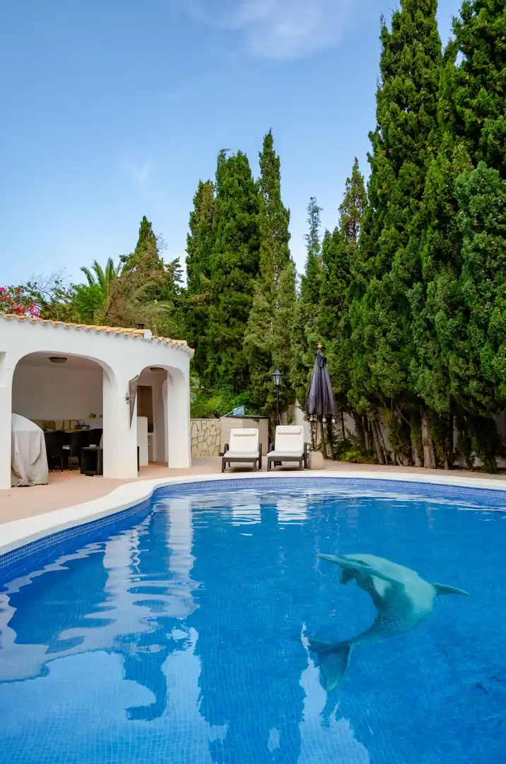 Casa amb piscina en venda a Pueblo Acantilado - Lanuza, imagen 49