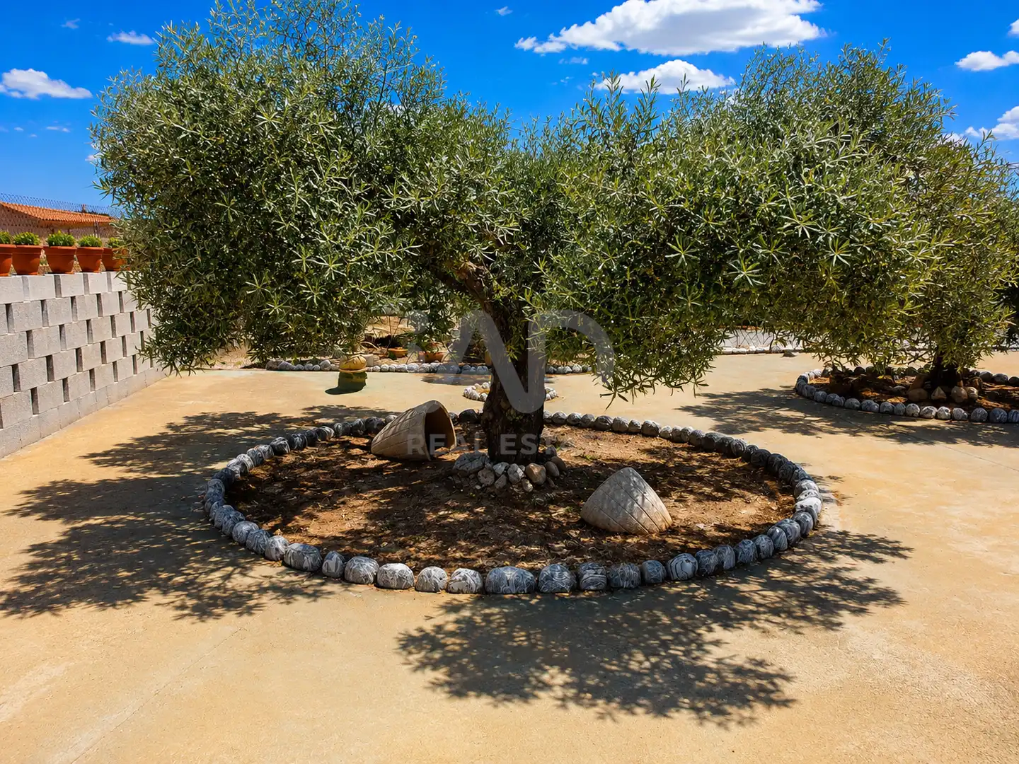 Jardí de Casa o xalet en venda en Fortuna amb Aire condicionat, Terrassa i Piscina