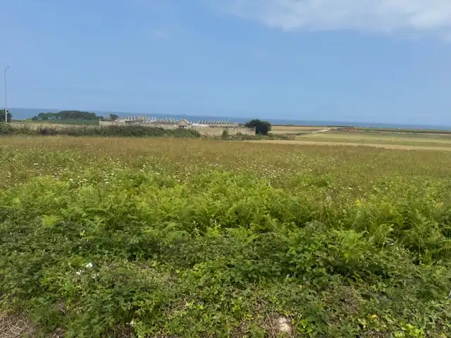 Residential zum Verkauf in Ribadeo