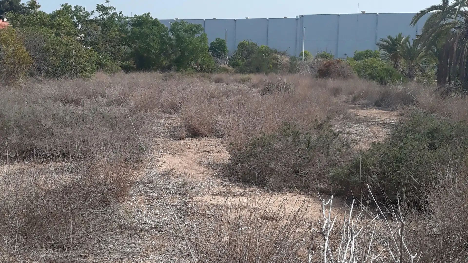 Terreno en venta en Petrer