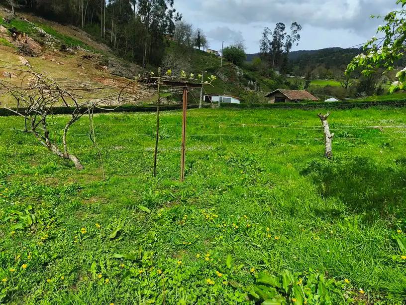 Terreno residencial en venta en Aldea Ferreras 24, imagen 5