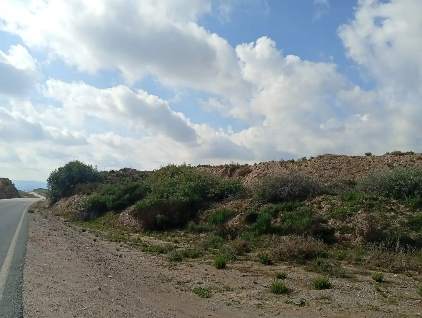 Terreny en venda a Rambla La Higuera, Albox