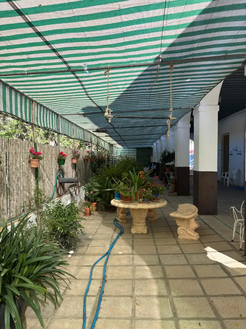Terrassa de Casa o xalet en venda en Berja amb Jardí privat, Terrassa i Moblat