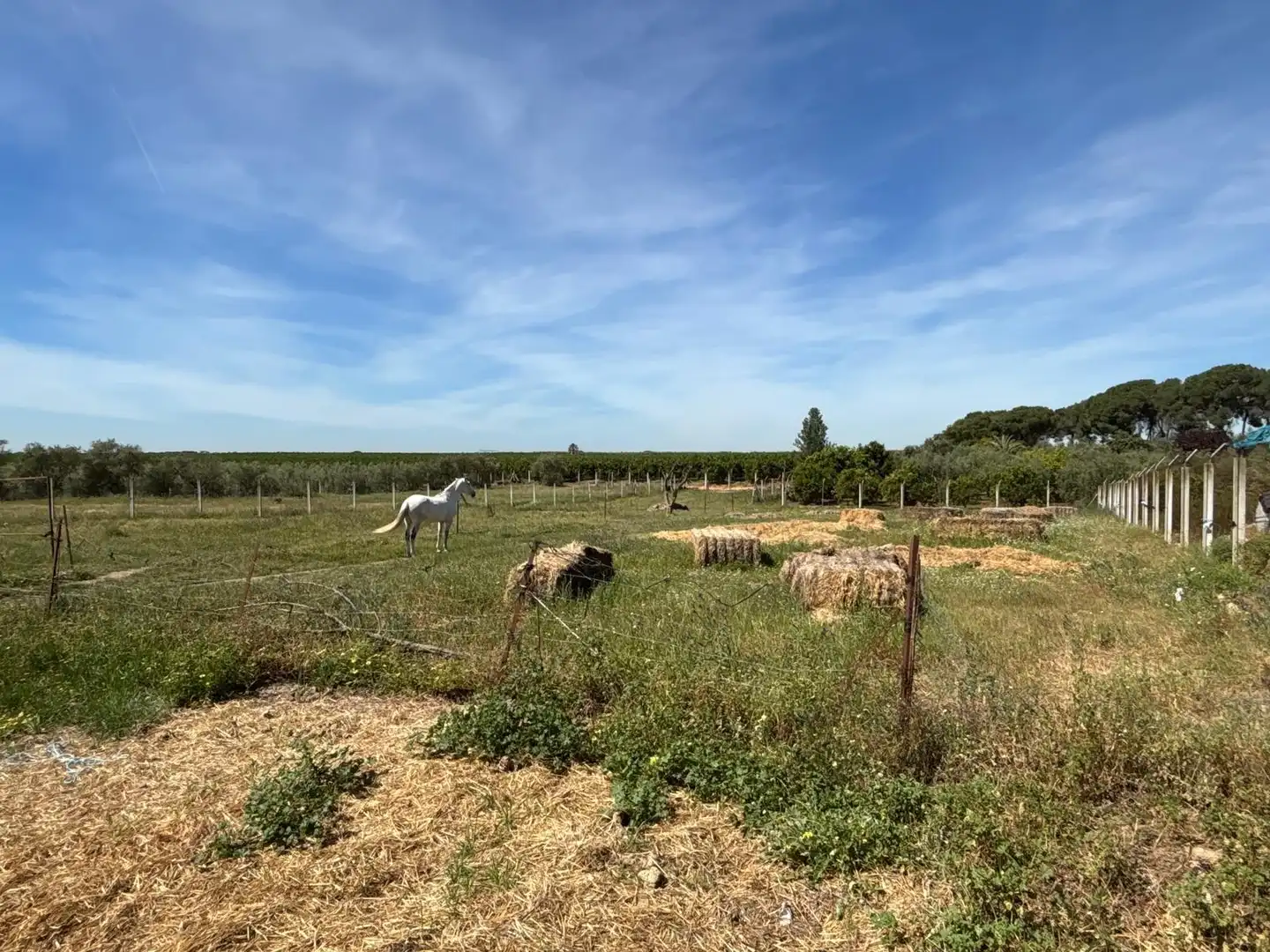 Terreni e lotti in vendita a Polígono Polígono 14 Paraje 87 LOS MONTES, imagen 22