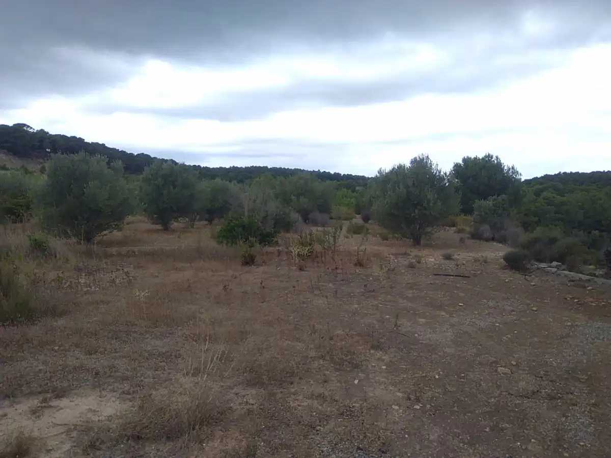 Casa rústica en venta en Algímia de Alfara, imagen 8
