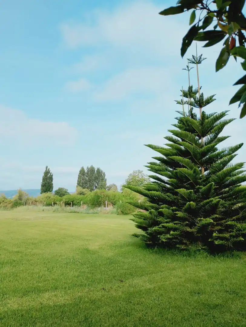 Jardí de Residencial en venda en Laredo