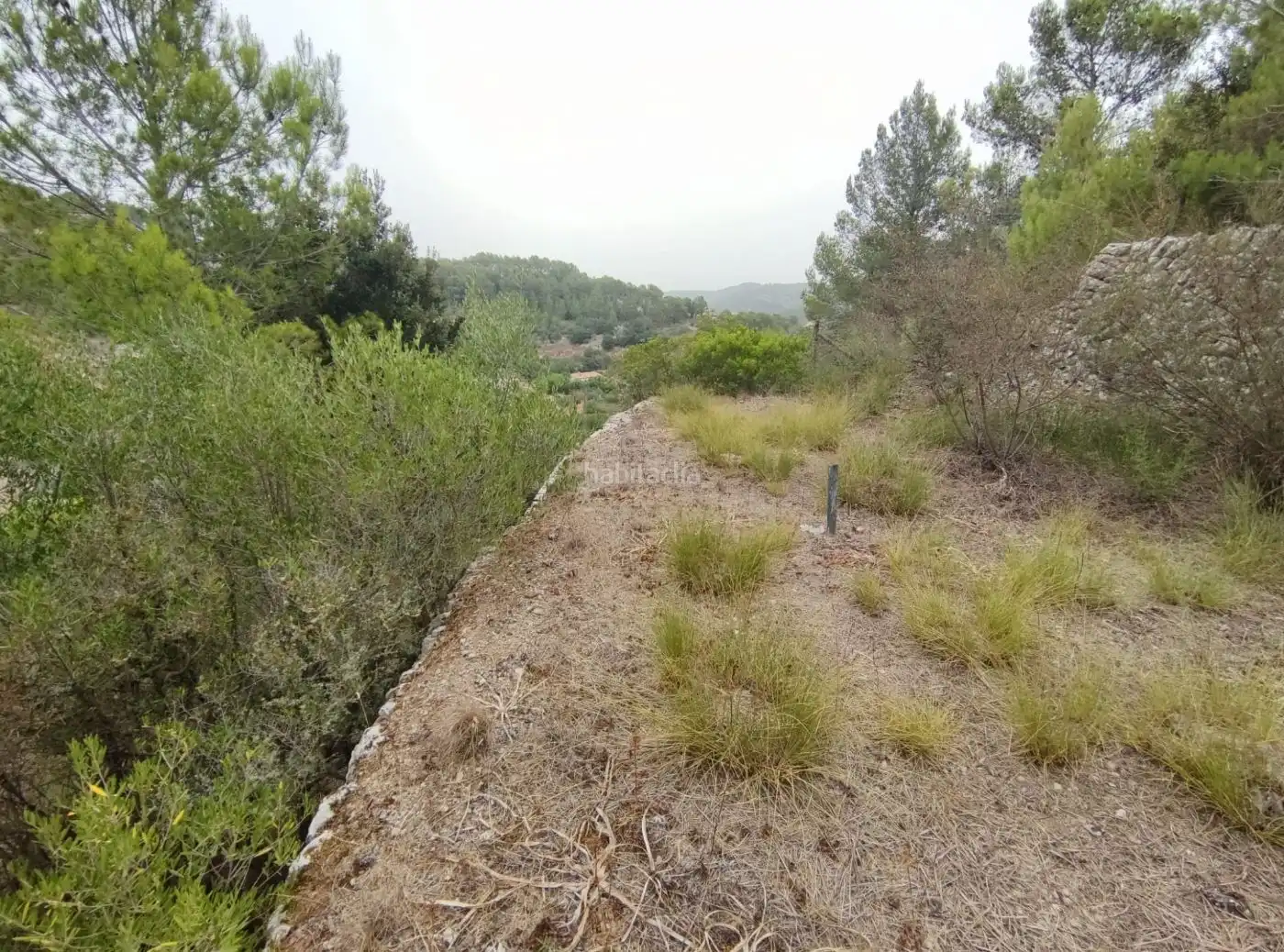 Terreny residencial en venda a Camí Comellar de ses Olibes 6, imagen 8