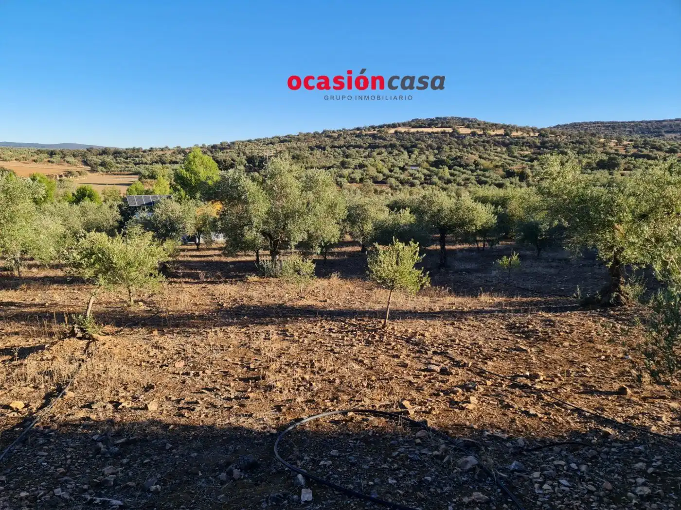 Wohnbaugrundstück zum Verkauf in La Granjuela, imagen 10