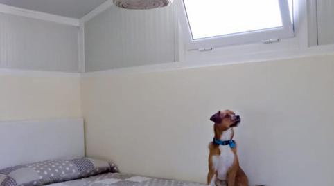 Photo 5 of Apartment to share in San José Alto, Zaragoza