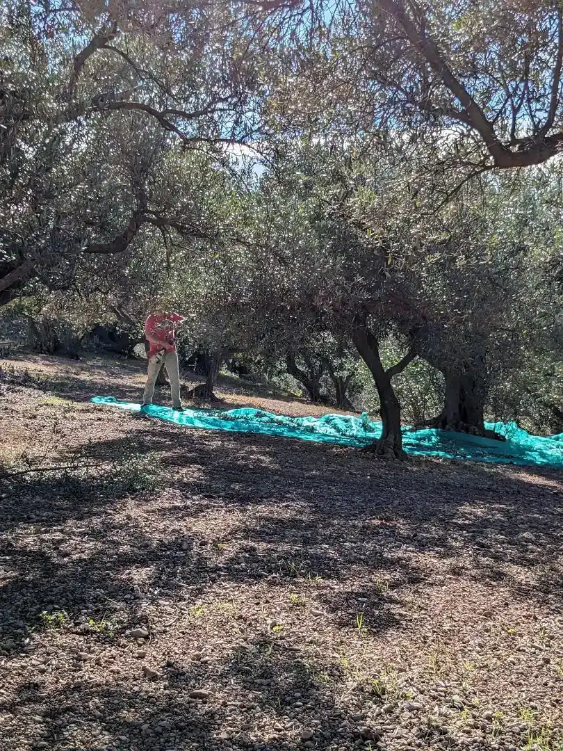 Jardí de Finca rústica en venda en Tortosa