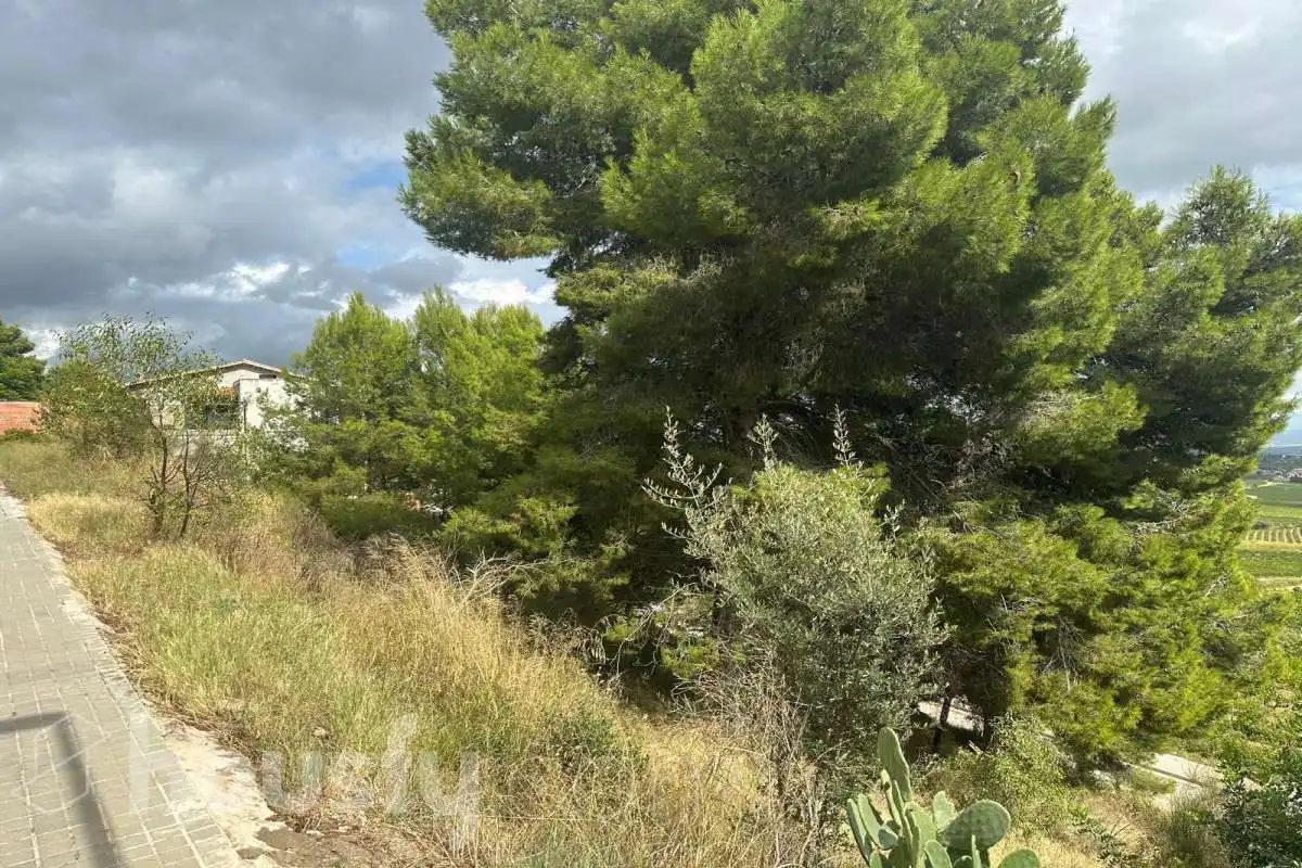 Terrenys i solars en venda a Carrer Cirerer (Can Coral) ., imagen 5