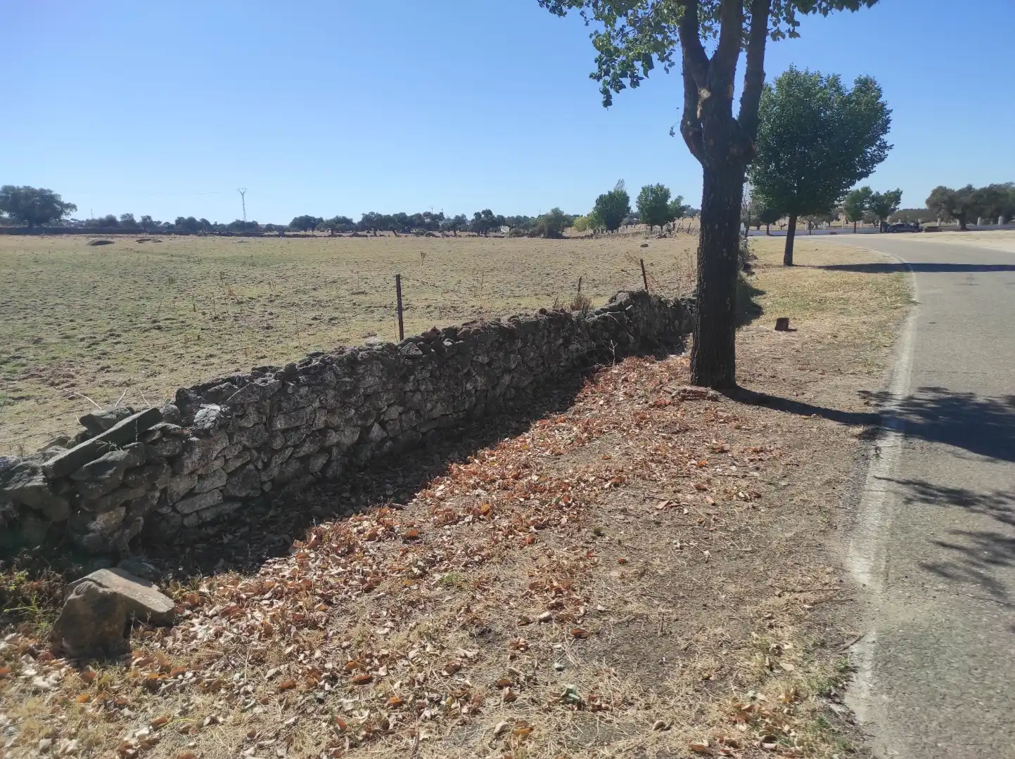 Terreny en venda en Ceclavín
