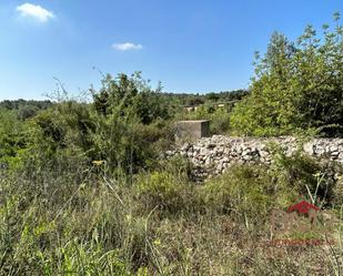 Finca rústica en venda a Cervera del Maestre