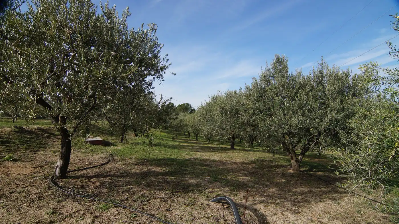 Country homes for sale in Falset  with Private garden
