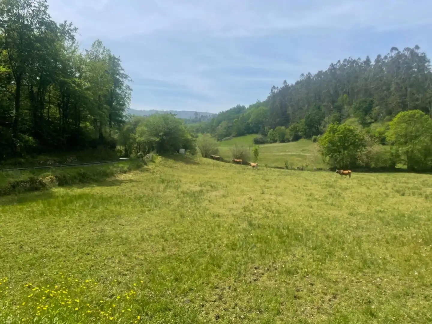 Terrenos y solares en venta en Valdáliga, imagen 10