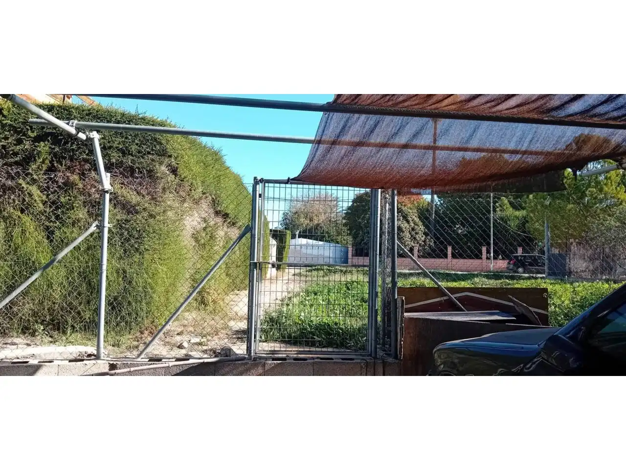 Terreny rústic en venda a Camino Paraje, imagen 12