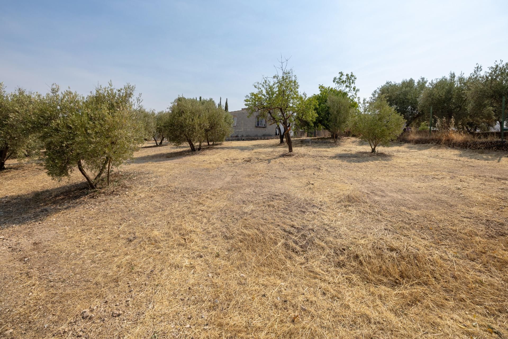 Finca rústica en venta en Moraleda de Zafayona
