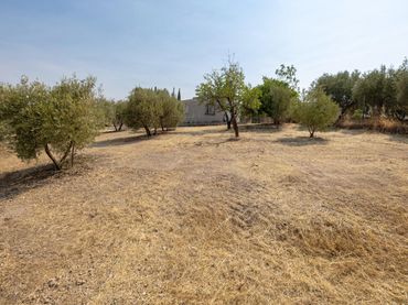 Casa rústica en venta en Calle de Moraleda a Cómpeta