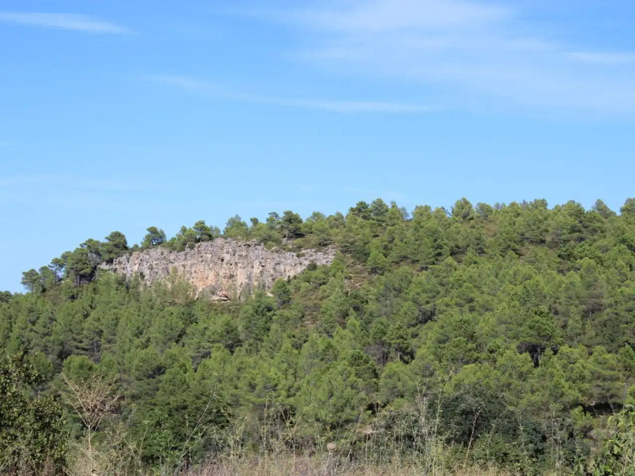 Country homes for sale in Enguera