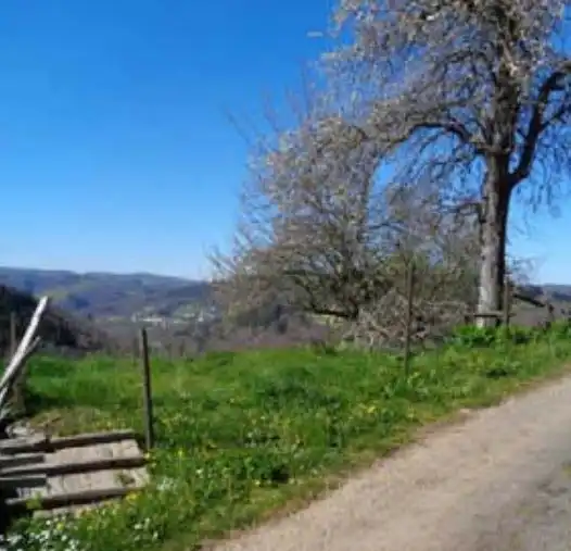 Land for sale in Santa Eulalia de Oscos