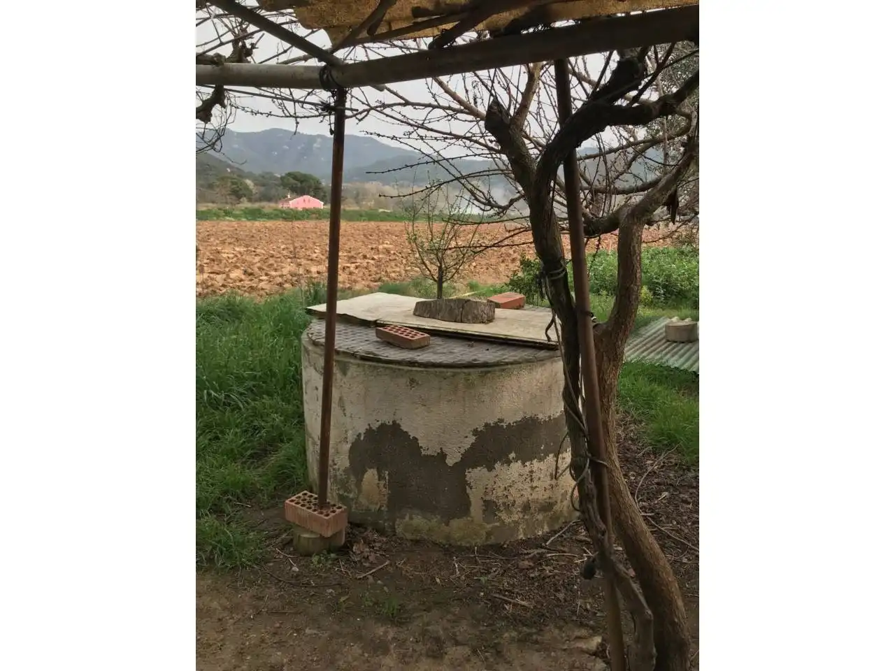 Rural land for sale in Vilanova del Vallès, imagen 5