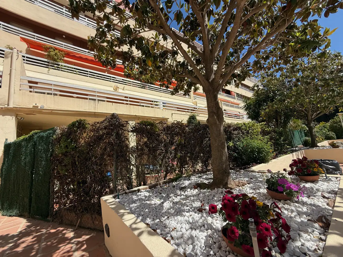 Vista exterior de Apartamento de alquiler en Marbella con Terraza, Piscina y Piscina comunitaria
