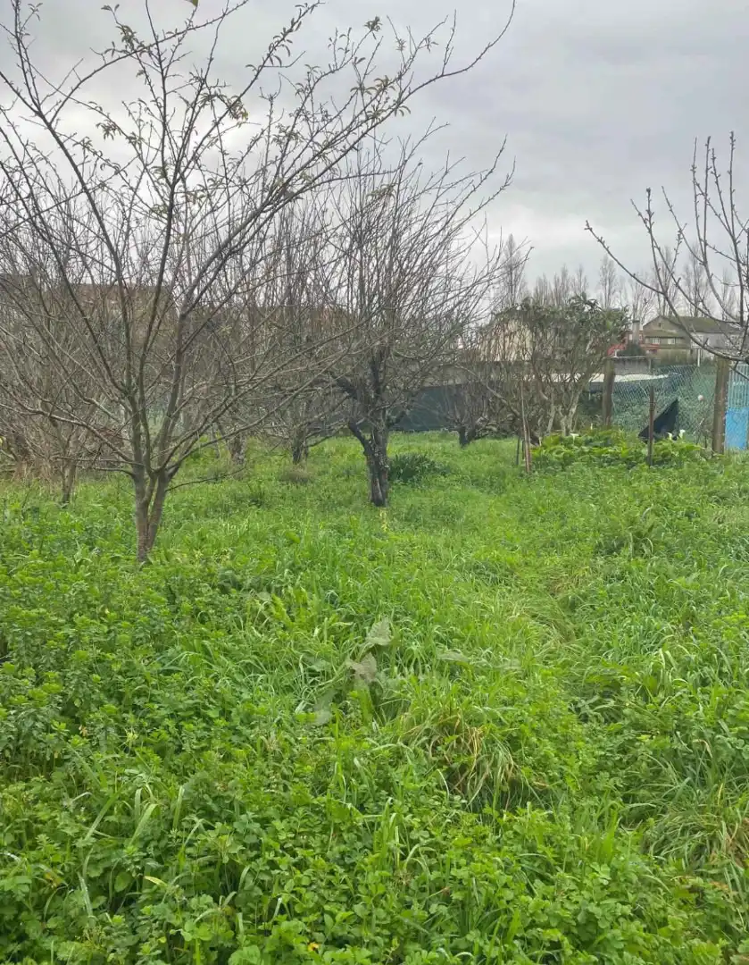 Terreno rustico in vendita a Avenida de Vilariño 15, imagen 7