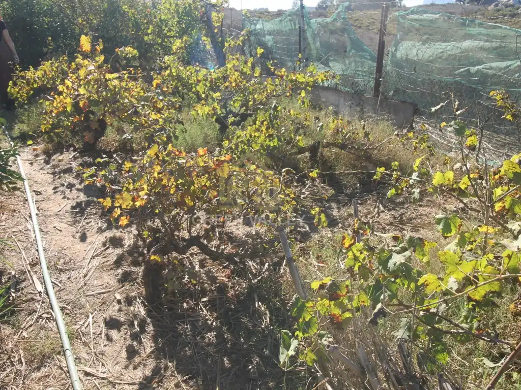 Finca rústica en venta en La Alcaidesa