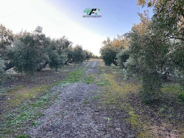 Rustikales Grundstück zum Verkauf in Mancha Real