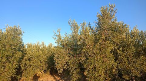 Foto 4 de Residencial en venda a Parrilla, Lorca