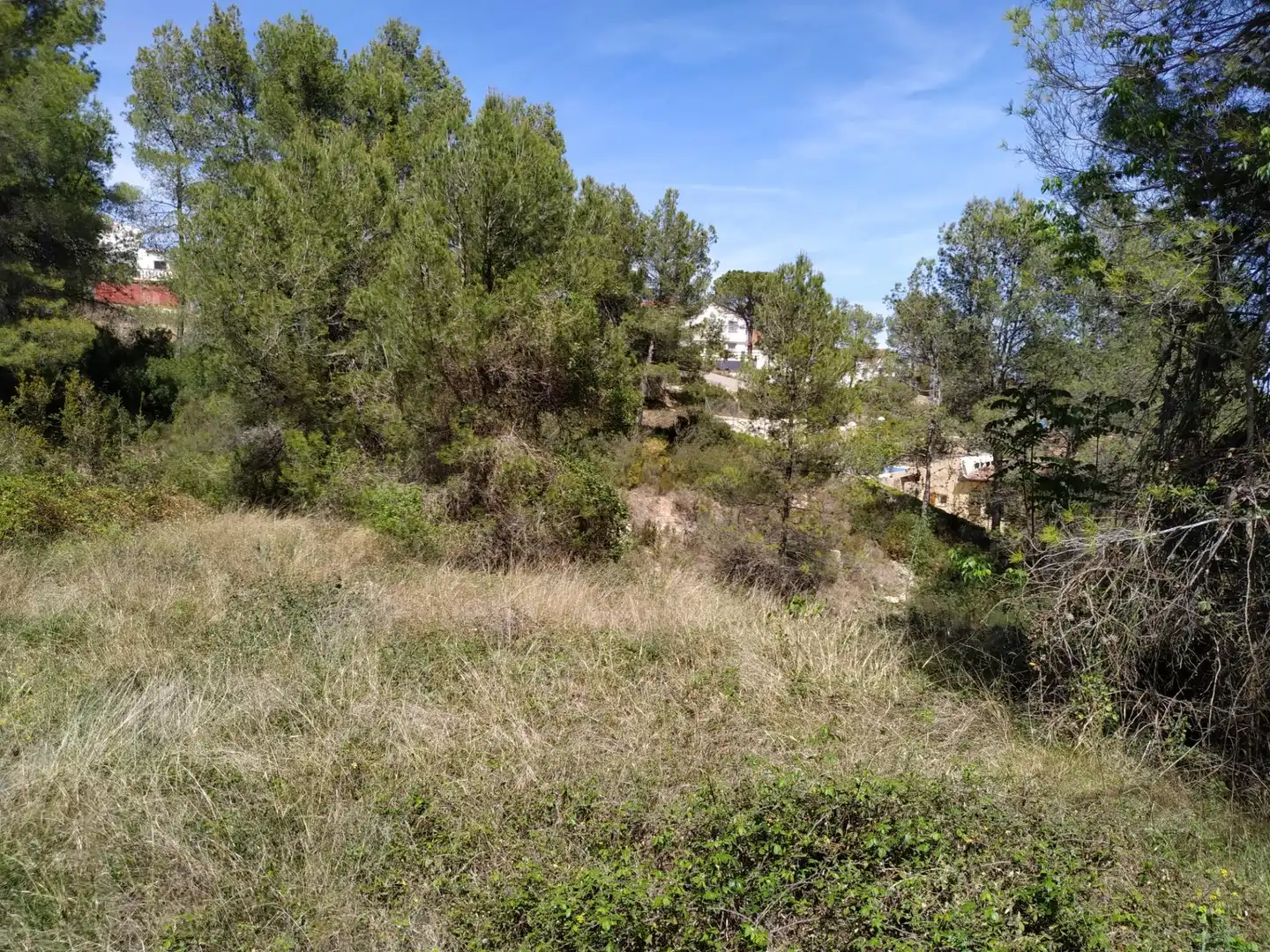 Terreno residencial en venta en Mogente / Moixent, imagen 8