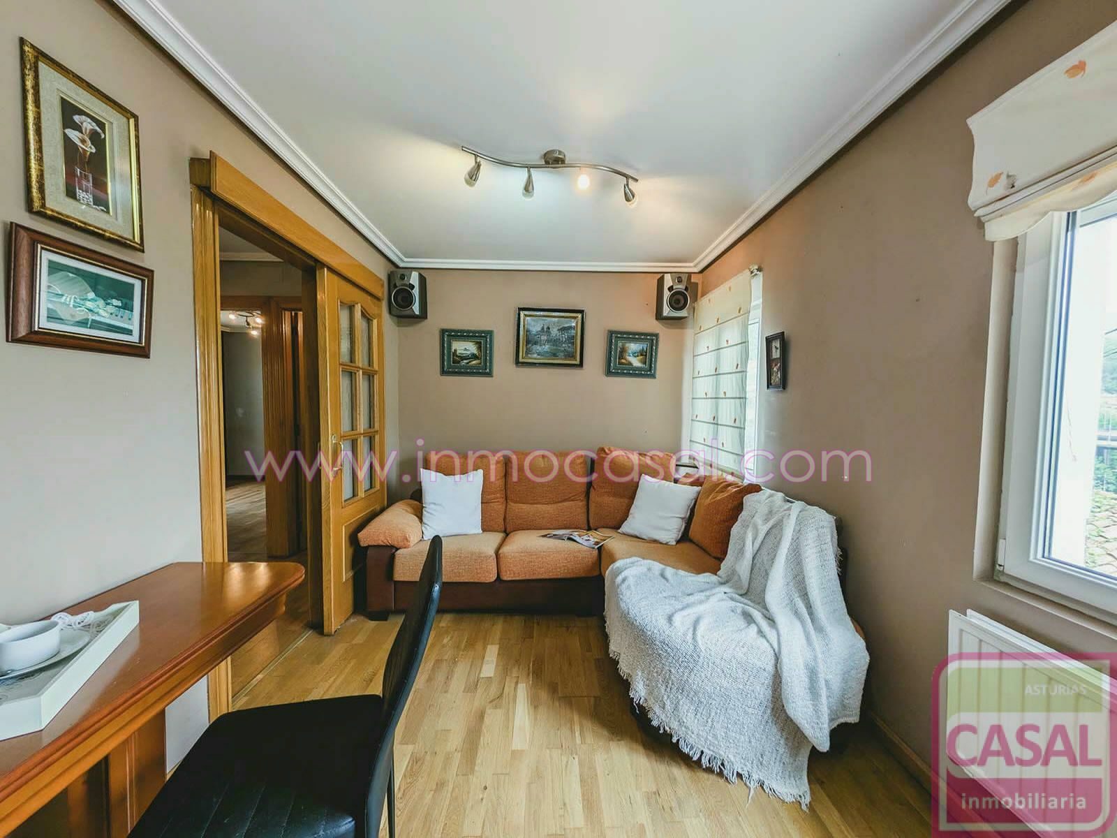 Sala d'estar de Casa o xalet en venda en Mieres (Asturias) amb Calefacció, Terrassa i Traster