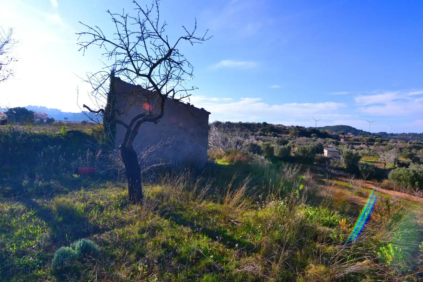 Rural land for sale in Gandesa, imagen 21