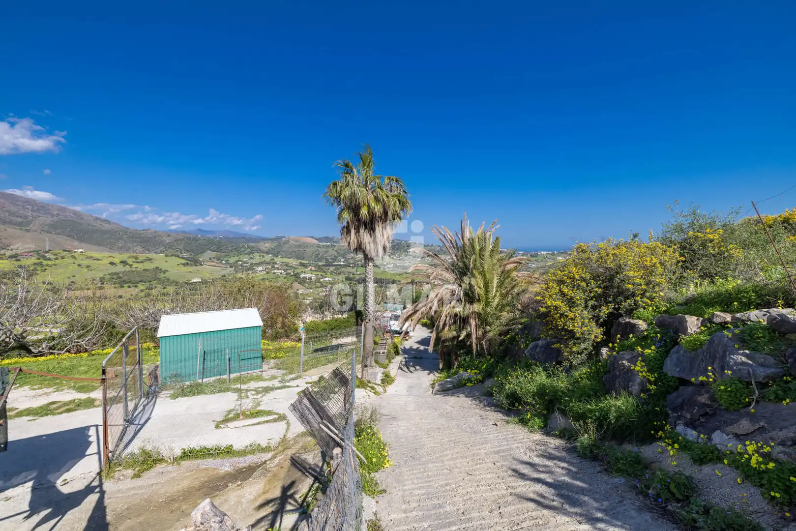 Vista exterior de Casa o chalet en venta en Estepona con Jardín privado y Piscina
