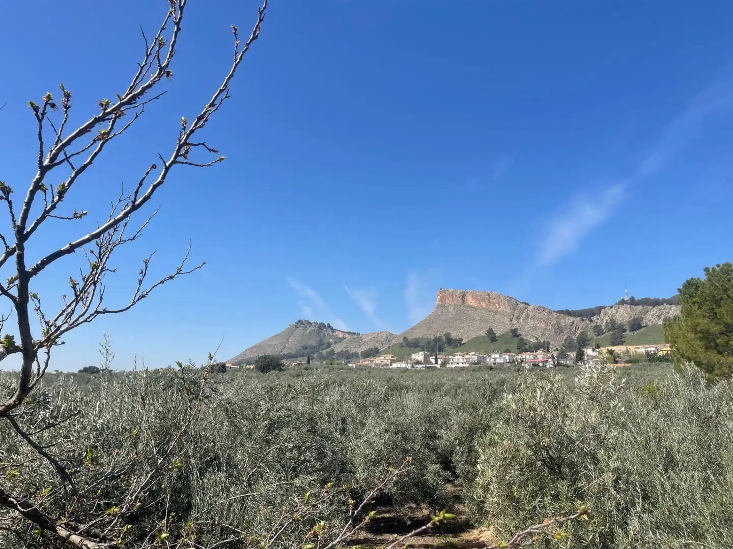 Vista exterior de Finca rústica en venda en Albolote amb Piscina