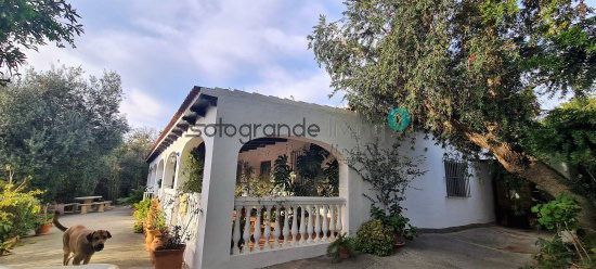 Jardín de Finca rústica en venta en Sotogrande